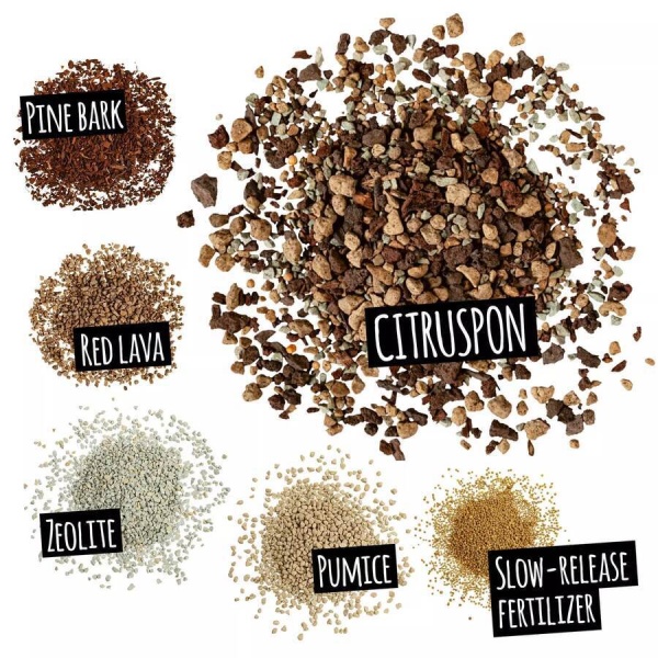 Субстрат Lechuza CITRUSPON