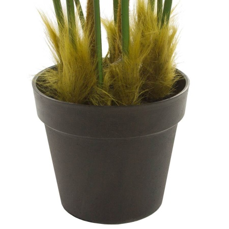 Папоротник искусственный