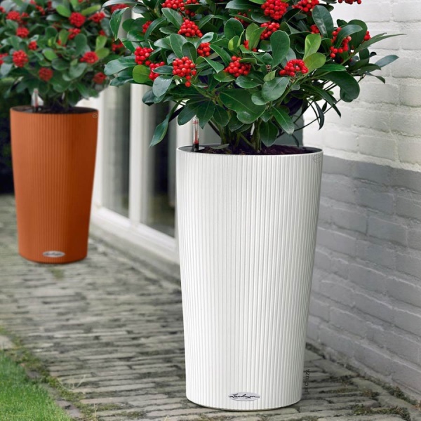 Кашпо Lechuza Cilindro Color