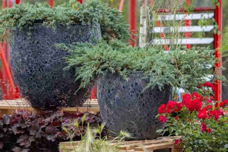 Цветочный горшок Egg round