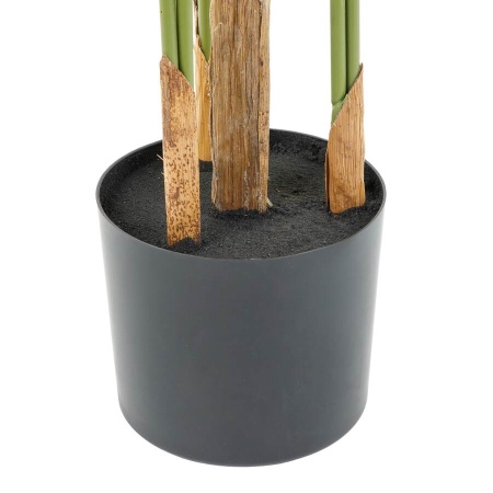 Пальма Тростниковая искусственная