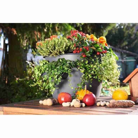 Кашпо Lechuza Cascada Color