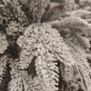 Ель искусственная заснеженная