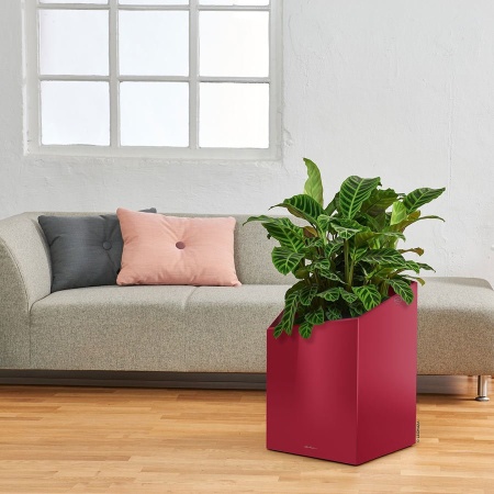 Кашпо Lechuza Cursivo