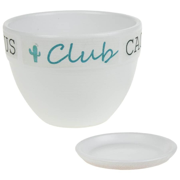 Кашпо White Cactus