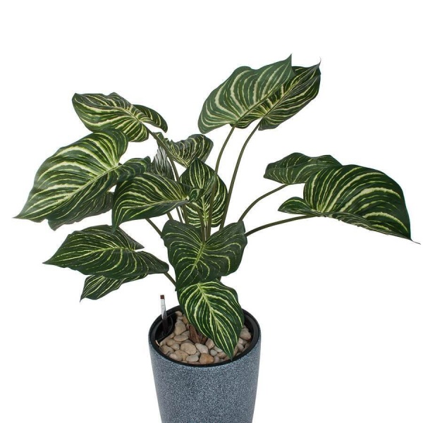Растение искусственное Калатея в горшке Vase Stone