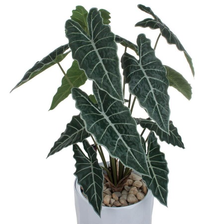 Искусственное растение Алоказия в горшке Vase Rib