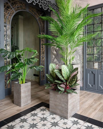 Прямоугольный горшок Wood Cube фото