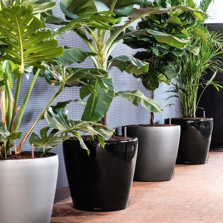 Кашпо Lechuza Classico LS