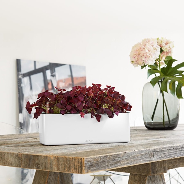 Кашпо Lechuza Cube Glossy Triple