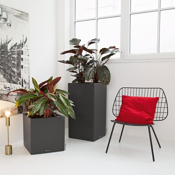 Кашпо Lechuza Canto Stone low