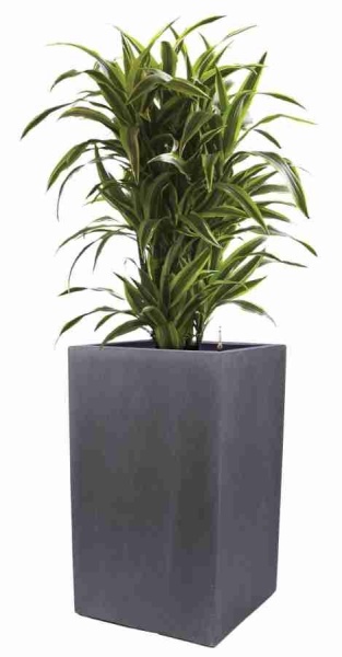 Горшок для цветов COLOSSUS Complete NM-224