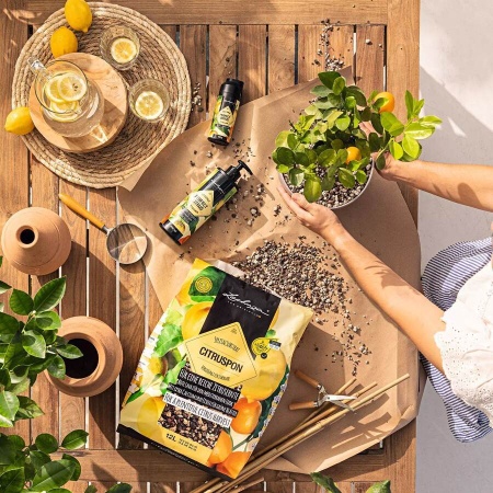 Субстрат Lechuza CITRUSPON