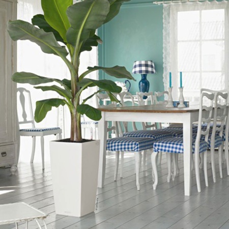 Кашпо Lechuza Cubico Color