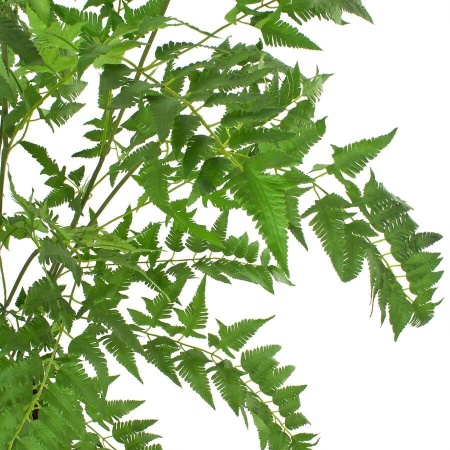 Папоротник искусственный