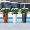 Кашпо Lechuza Cilindro Color