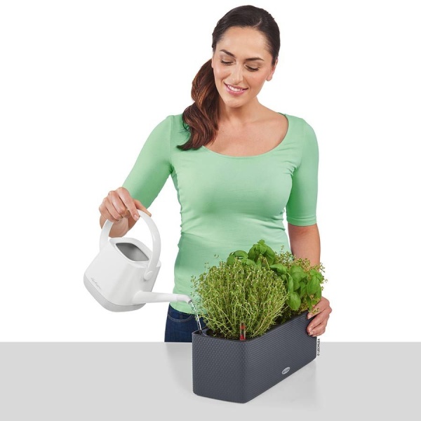 Кашпо Lechuza Cube Color Triple