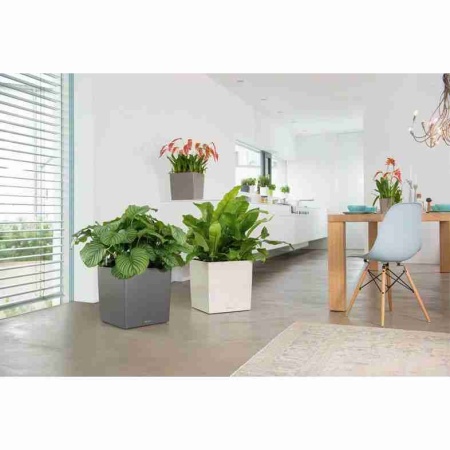 Кашпо Lechuza Cube