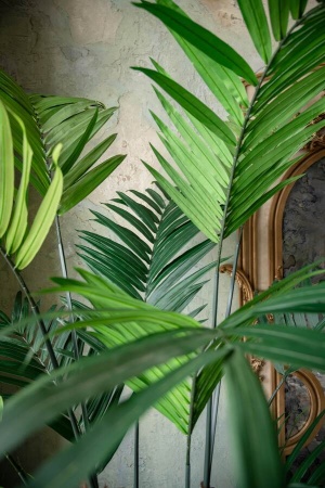 Пальма Арека искусственная