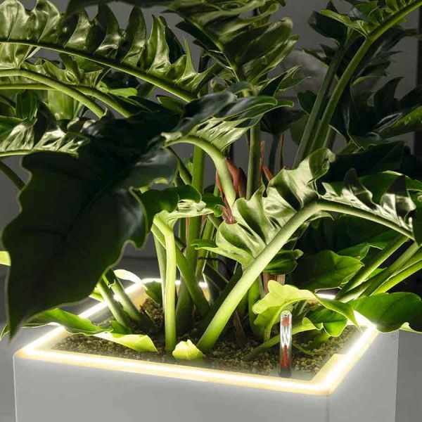 Кашпо Lechuza Canto Stone LED high