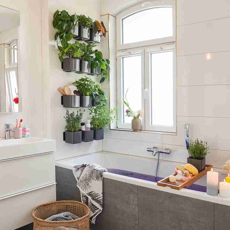 Настенное кашпо Lechuza Green Wall Home Kit Glossy