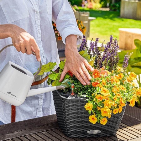 Кашпо Lechuza Bacino Cottage