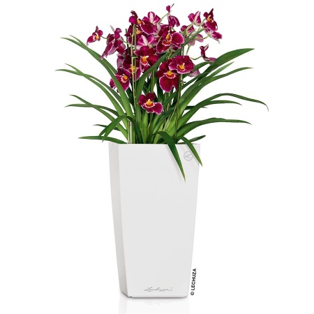 Кашпо Lechuza Cubico Premium