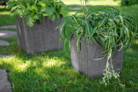 Прямоугольный большой горшок Rock Cube фото