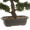 Дерево искусственное Бонсай