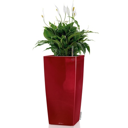 Кашпо Lechuza Cubico Premium