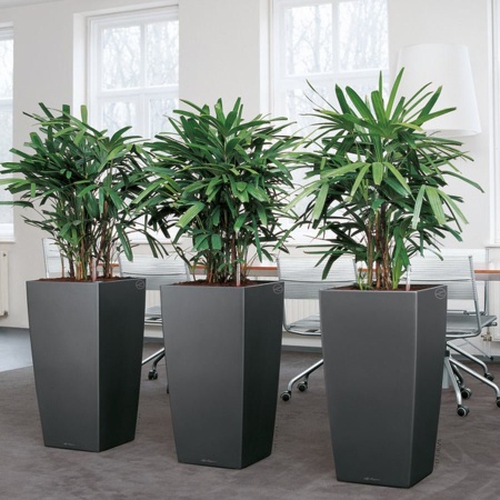 Кашпо Lechuza Cubico Premium