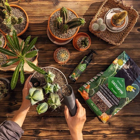 Субстрат Lechuza CACTUSPON