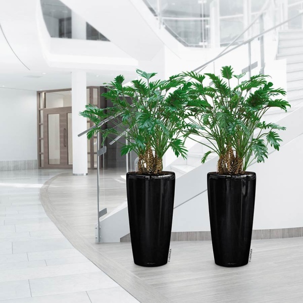 Кашпо Lechuza Rondo