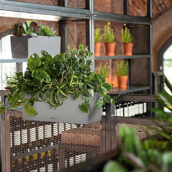 Кашпо Lechuza Balconera Stone 50