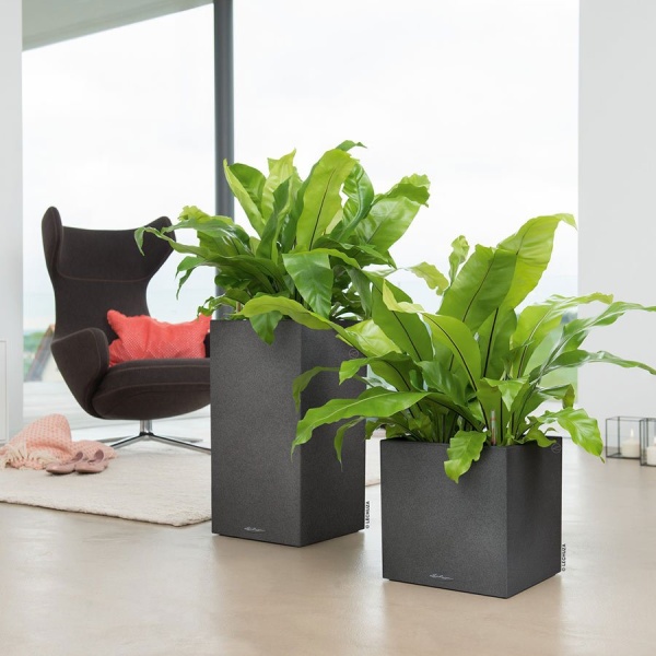 Кашпо Lechuza Canto Stone high