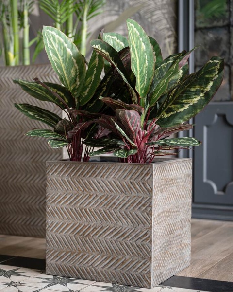 Прямоугольный горшок Wood Cube фото