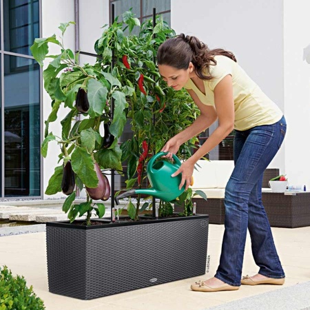 Кашпо Lechuza TRIO Cottage