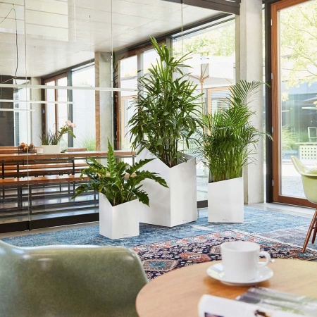 Кашпо Lechuza Cursivo