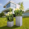 Кашпо Lechuza Canto Stone low