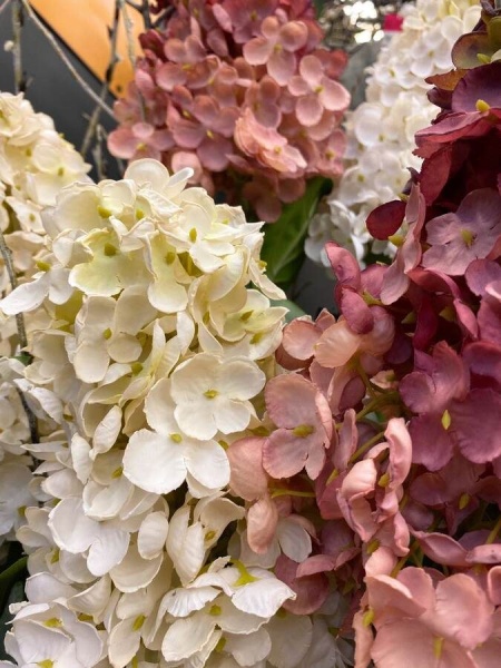 Гортензия метельчатая искусственная