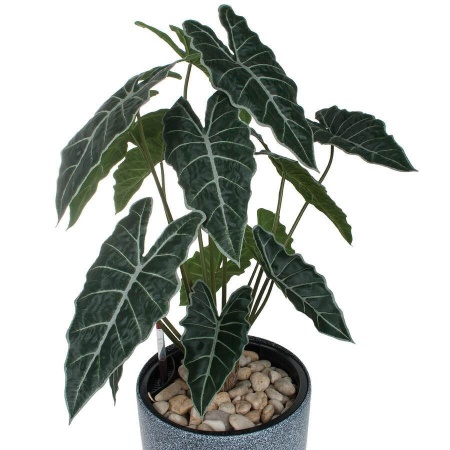 Искусственное растение Алоказия в горшке Vase Stone