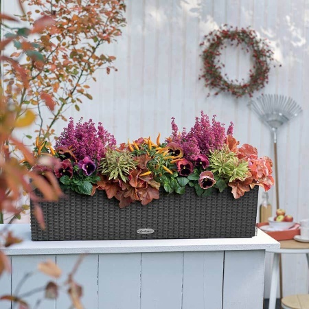 Кашпо Lechuza Balconera Cottage 50