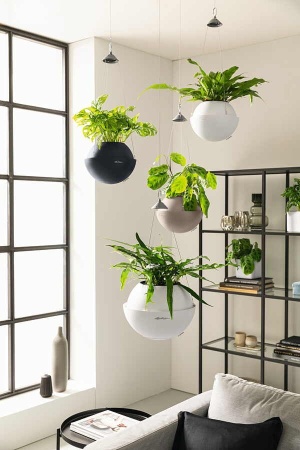 Кашпо Lechuza Bola