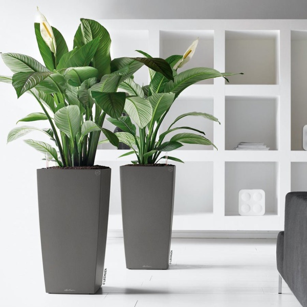 Кашпо Lechuza Cubico Premium