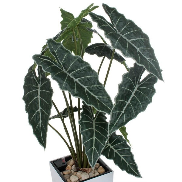 Искусственное растение Алоказия в горшке Conic Silk