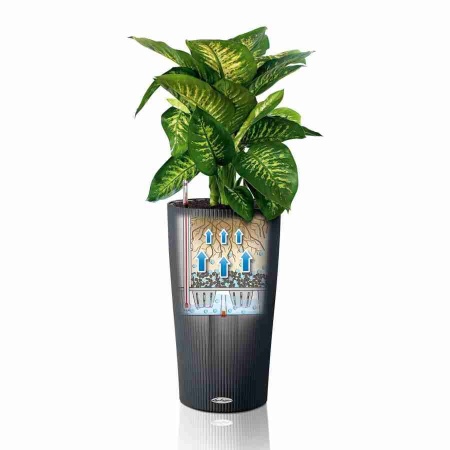 Кашпо Lechuza Cilindro Color