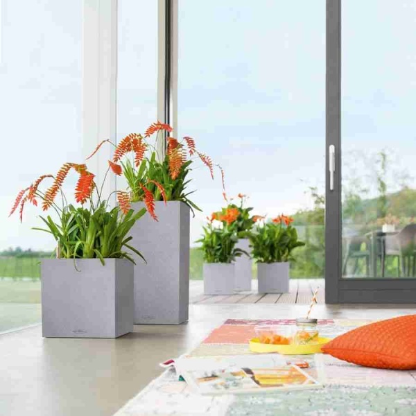 Кашпо Lechuza Canto Stone low