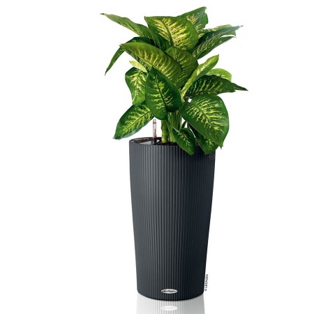 Кашпо Lechuza Cilindro Color