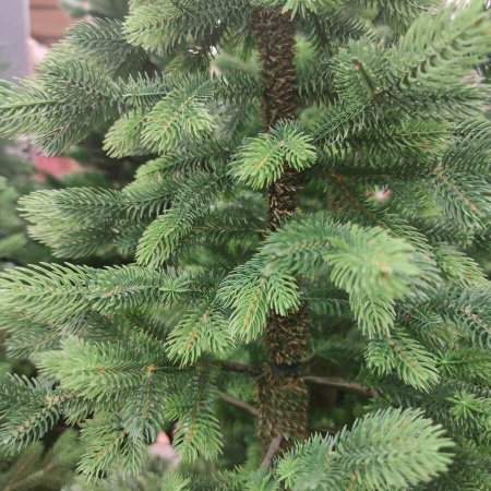 Ель искусственная Королева Тянь-Шаня