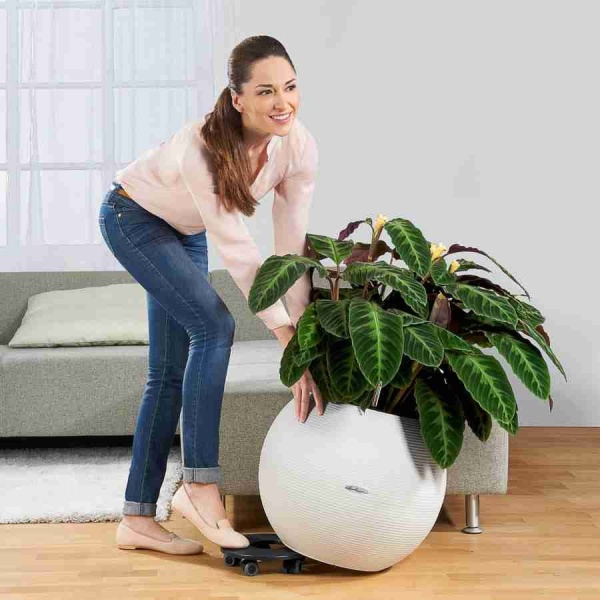 Кашпо Lechuza Puro Color